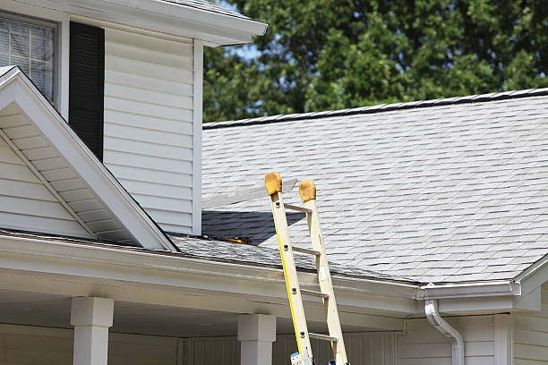 Best Hoarding Cleanup  in Erie, PA