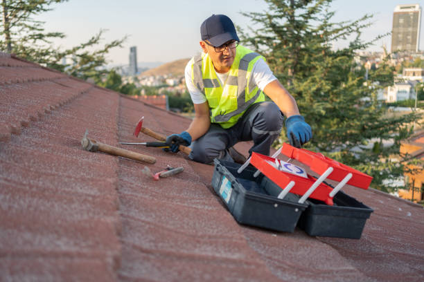 Best Attic Cleanout  in Erie, PA